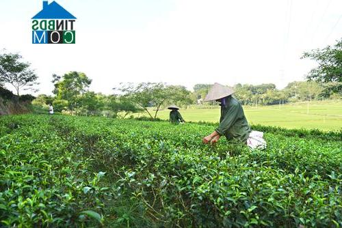 Hình ảnh Trạm Thản, Phú Thọ