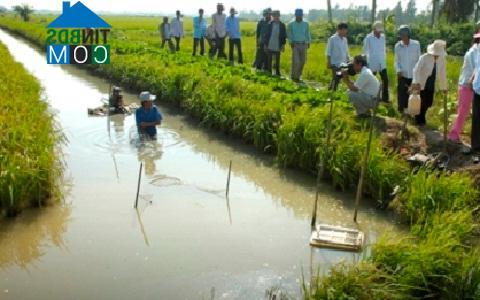 Hình ảnh Tu Vũ, Phú Thọ