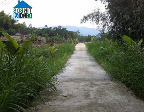 Hình ảnh Văn Lang, Phú Thọ