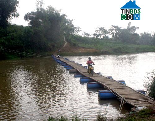 Hình ảnh Võ Miếu, Phú Thọ