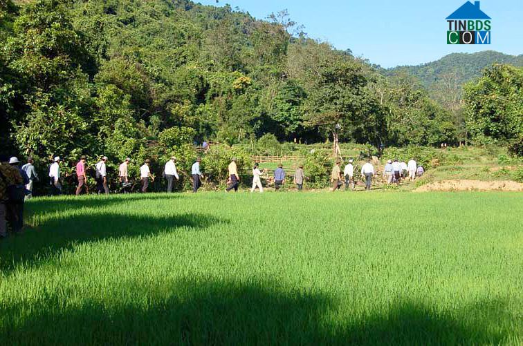 Hình ảnh Đặng Thùy Trâm, Quảng Ngãi