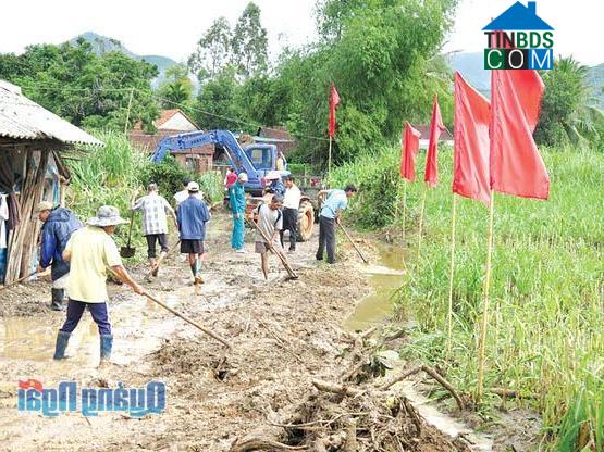 Hình ảnh Đông Trà Bồng, Quảng Ngãi