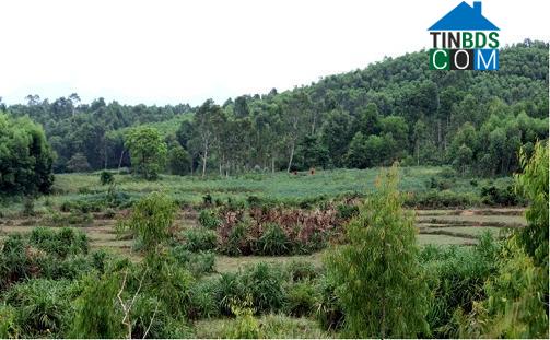 Hình ảnh Bình Minh, Quảng Ngãi