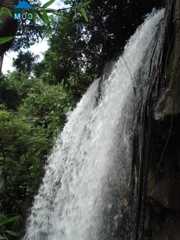 Hình ảnh Thọ Sơn, Đồng Nai