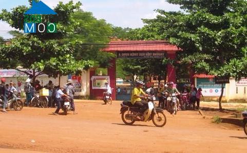 Hình ảnh Hưng Phước, Đồng Nai