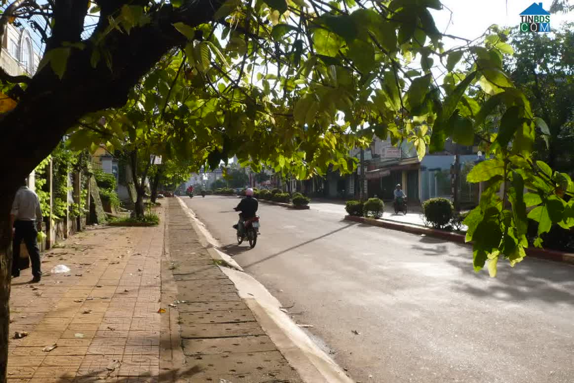 Hình ảnh Lộc Quang, Đồng Nai