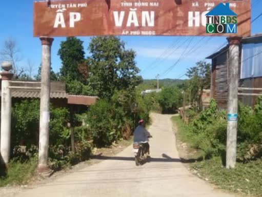 Hình ảnh Phú Trung, Đồng Nai