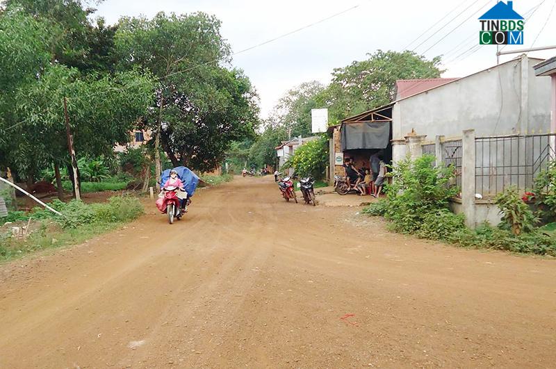 Hình ảnh Bình Tân, Đồng Nai