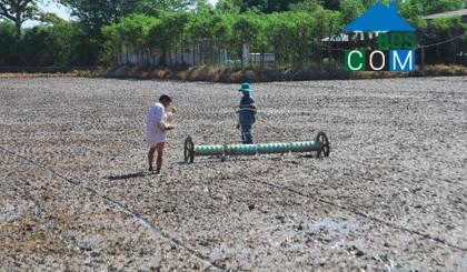 Hình ảnh Gò Công Đông, Đồng Tháp