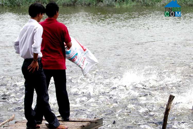 Hình ảnh Vĩnh Kim, Đồng Tháp