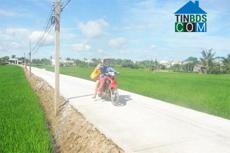 Hình ảnh Tân Điền, Đồng Tháp