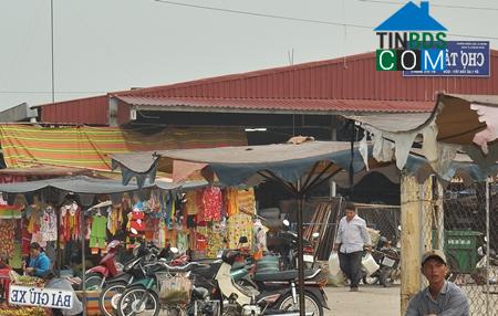 Hình ảnh Tân Đông, Đồng Tháp