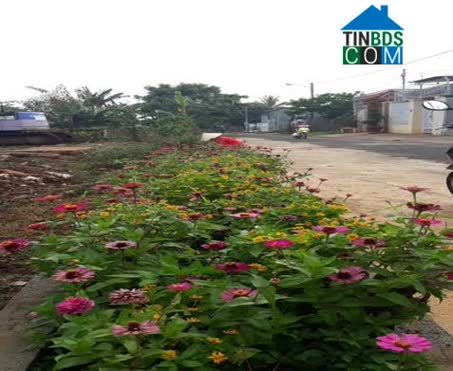 Hình ảnh An Phú, Gia Lai