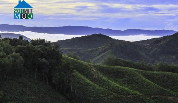 Hình ảnh An Toàn, Gia Lai