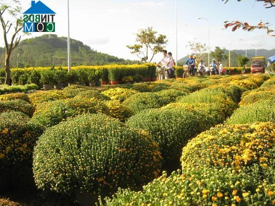 Hình ảnh Hoài Ân, Gia Lai