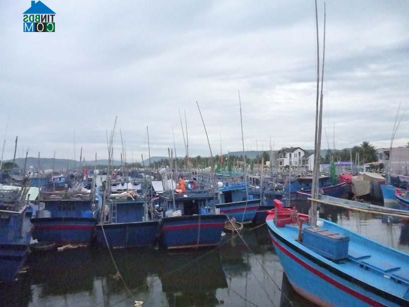 Hình ảnh Hoài Nhơn Bắc, Gia Lai