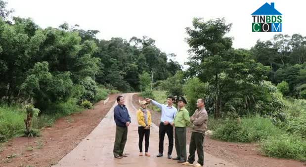 Hình ảnh Ayun, Gia Lai