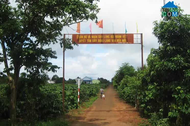 Hình ảnh Biển Hồ, Gia Lai