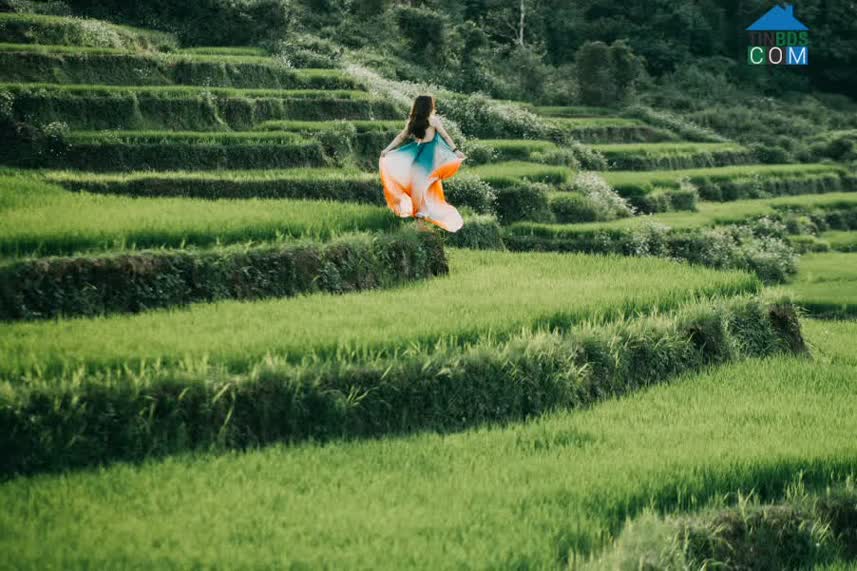 Hình ảnh Chư Sê, Gia Lai