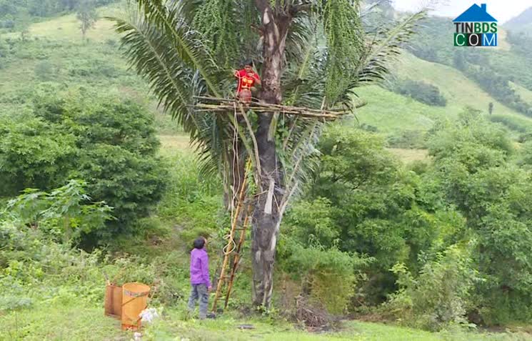 Hình ảnh Đăk Song, Gia Lai