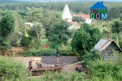 Hình ảnh Ia Pia, Gia Lai