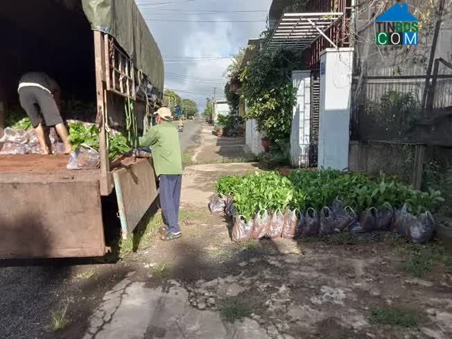 Hình ảnh Thống Nhất, Gia Lai