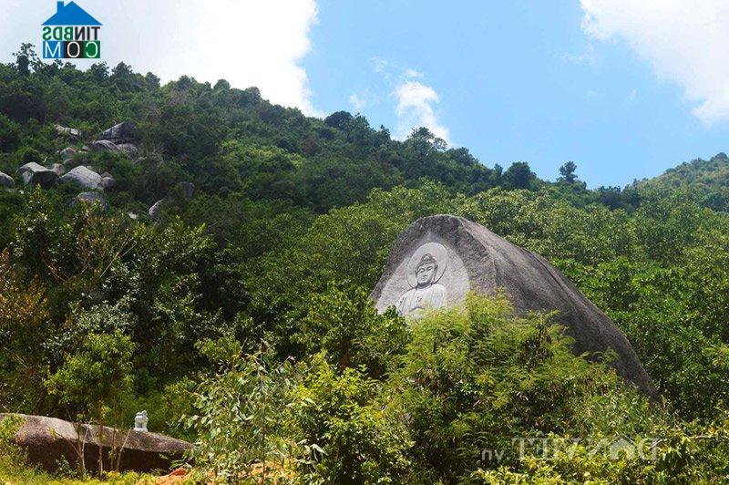 Hình ảnh Ngô Mây, Gia Lai