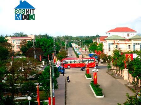 Hình ảnh Phù Mỹ, Gia Lai