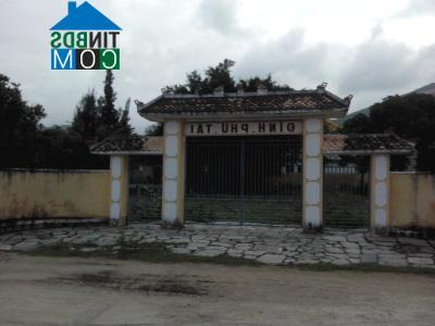 Hình ảnh Quy Nhơn Tây, Gia Lai