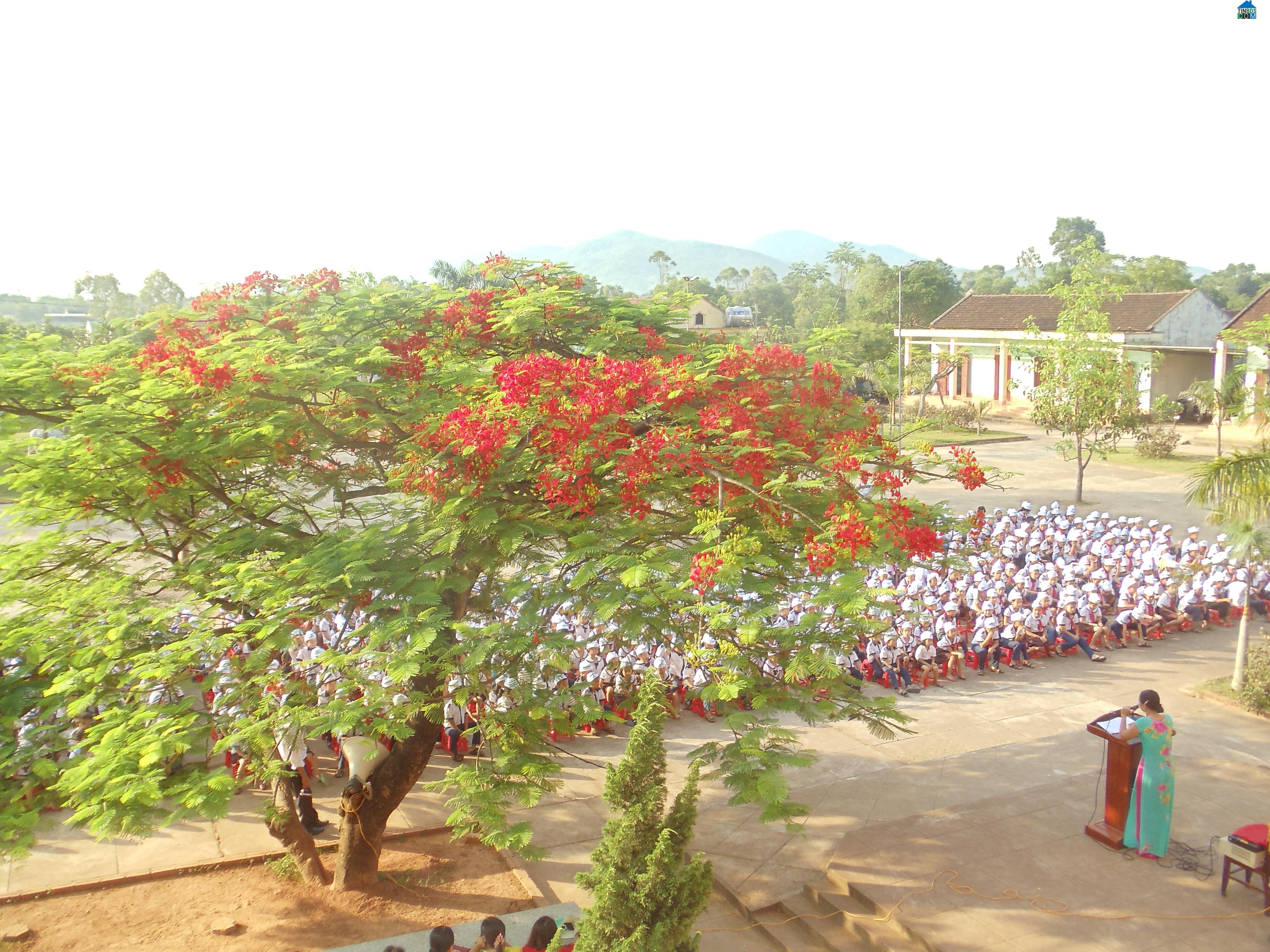 Hình ảnh Kỳ Xuân, Hà Tĩnh