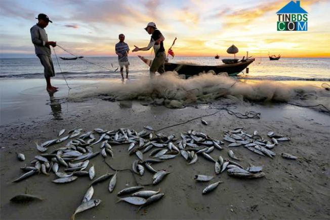 Hình ảnh Hải Ninh, Hà Tĩnh