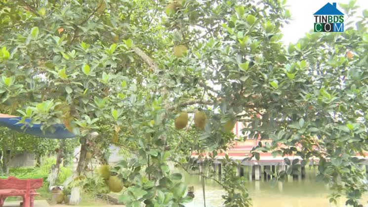 Hình ảnh Bắc Đông Quan, Hưng Yên