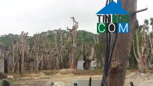 Hình ảnh Nghi Xuân, Hà Tĩnh