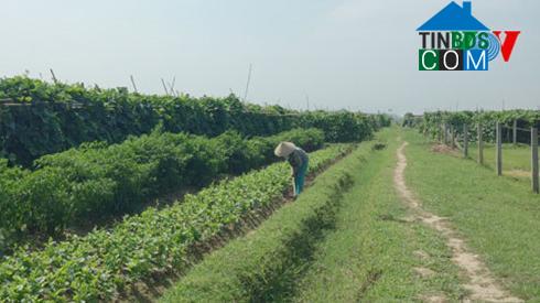 Hình ảnh Thạch Lạc, Hà Tĩnh