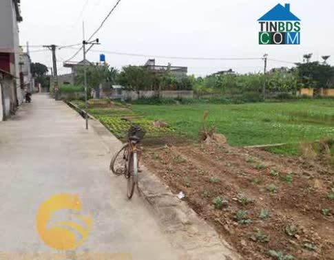 Hình ảnh Hưng Hà, Hưng Yên