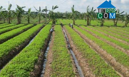 Hình ảnh Lê Lợi, Hưng Yên