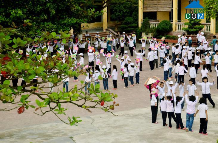 Hình ảnh Bắc Thụy Anh, Hưng Yên