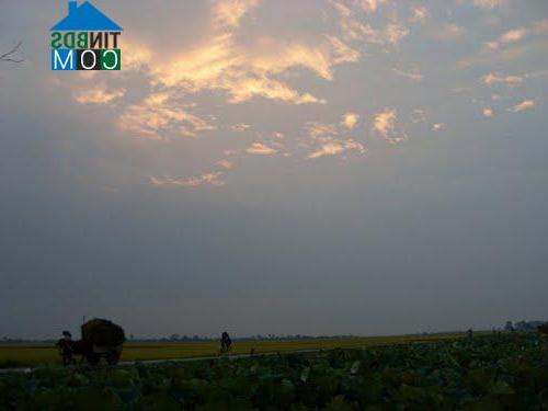 Hình ảnh Đoàn Đào, Hưng Yên