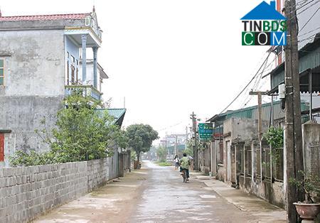 Hình ảnh Đông Tiền Hải, Hưng Yên