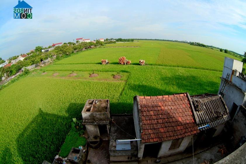 Hình ảnh Tân Hưng, Hưng Yên