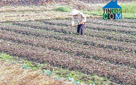 Hình ảnh Tây Tiền Hải, Hưng Yên