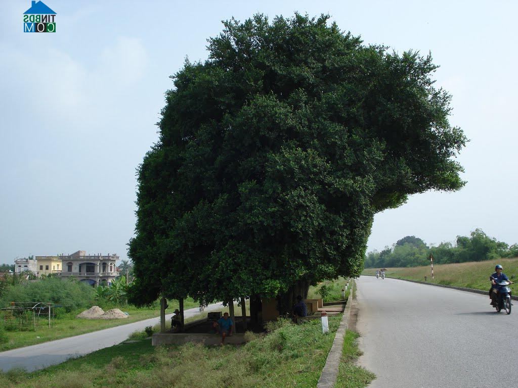 Hình ảnh Lương Bằng, Hưng Yên