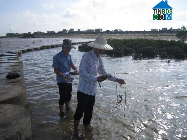 Hình ảnh Nam Cường, Hưng Yên