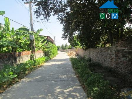 Hình ảnh Thụy Anh, Hưng Yên