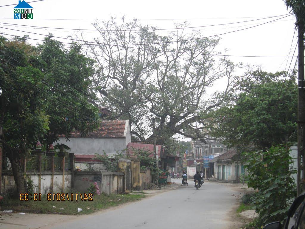 Hình ảnh Tiên Tiến, Hưng Yên