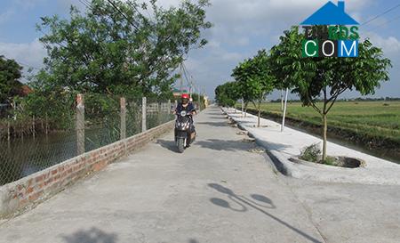 Hình ảnh Trà Giang, Hưng Yên