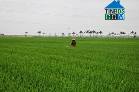 Hình ảnh Vũ Quý, Hưng Yên