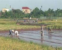 Hình ảnh Vũ Tiên, Hưng Yên