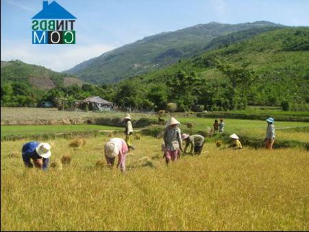 Hình ảnh Phước Hà, Khánh Hòa