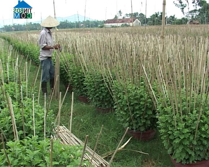 Hình ảnh Hòa Thắng, Khánh Hòa